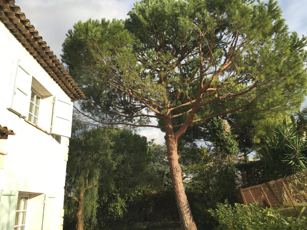 Villa Alessia Antibes Exterior photo